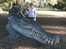 Kings Park: Well behaved crocodile