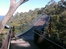 Kings Park: The treetop walkway